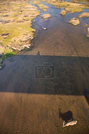 Téléchargez les photos : Bouc d'eau mâle, Kobus ellipsiprymnus, marchant dans la rivière - en image libre de droit