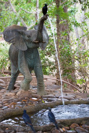 Téléchargez les photos : Elephants with birds in jungle forest - en image libre de droit