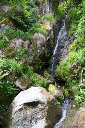 Téléchargez les photos : Belle cascade dans la forêt de montagne - en image libre de droit
