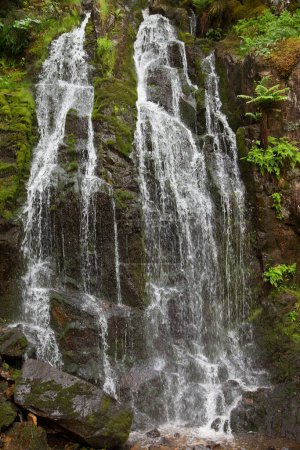 Foto de Hermosa cascada en el bosque de montaña - Imagen libre de derechos