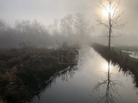 Foto de Hermoso paisaje con río en la nebulosa mañana - Imagen libre de derechos