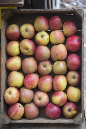 Foto de Manzanas dulces en caja de madera - Imagen libre de derechos
