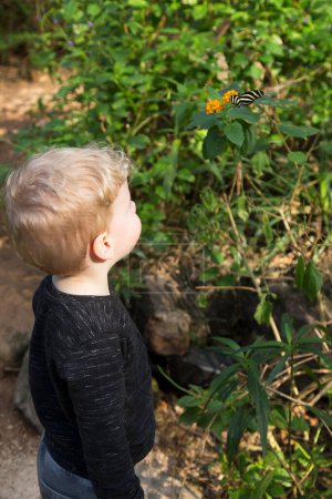 Photo for Boy looking at butterfly in nature - Royalty Free Image