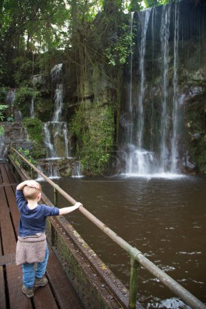 Téléchargez les photos : Cascade dans une belle forêt tropicale - en image libre de droit