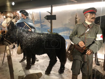 Foto de Exposición en museo militar histórico - Imagen libre de derechos
