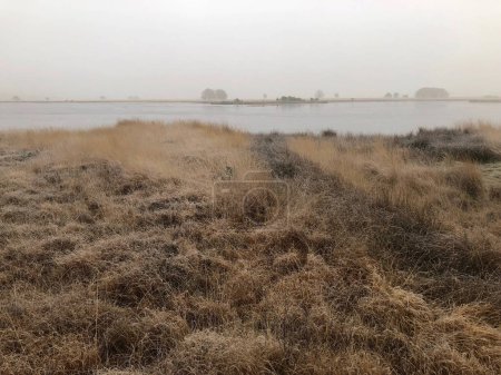 Téléchargez les photos : Beau paysage avec lac en automne journée brumeuse - en image libre de droit