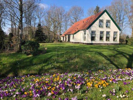 Téléchargez les photos : Belle maison sur prairie verte près du canal aux Pays-Bas - en image libre de droit