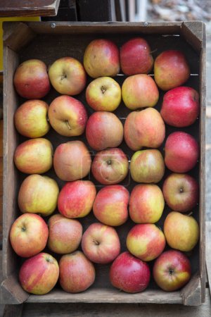 Téléchargez les photos : Pommes douces dans une boîte en bois - en image libre de droit