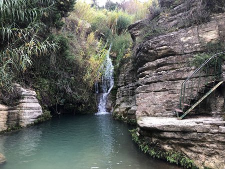Téléchargez les photos : Belle cascade dans la forêt méditerranéenne - en image libre de droit