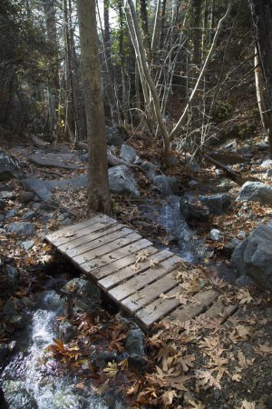 Téléchargez les photos : Pont en bois sur petite rivière en forêt de montagne - en image libre de droit