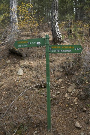 Téléchargez les photos : Panneaux pour la randonnée en forêt de montagne - en image libre de droit