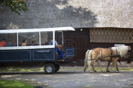 Photo for Horse carriage with tourists in the park - Royalty Free Image
