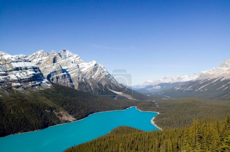 Photo for Peyto Lake is a glacier-fed lake in Banff National Park in the Canadian Rockies. The lake is near the Icefields Parkway. It was named after Bill Peyto, an early guide and trapper. - Royalty Free Image