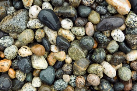 Close up of beach  river rock and assorted stones and pebbles with a natural pattern of texture background.