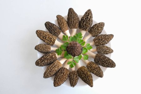 Téléchargez les photos : Many morels mushrooms are laid out in a circle on a round, white plate. Organic food is on the table. The idea of a low-calorie diet. High quality photo - en image libre de droit