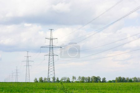 The power poles are located among a green field, against a blue sky with white clouds. High quality photo