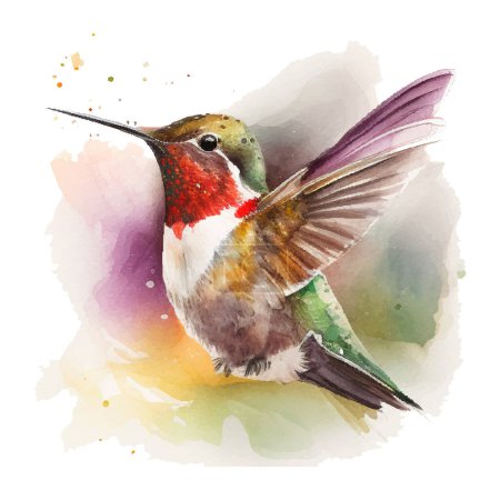 Illustration for Vector watercolor sketch of a hummingbird. Vector illustration for greeting cards, invitations, and other printing and web projects. - Royalty Free Image