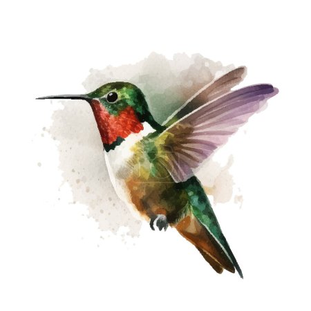 Vector watercolor sketch of a hummingbird. Vector illustration for greeting cards, invitations, and other printing and web projects.
