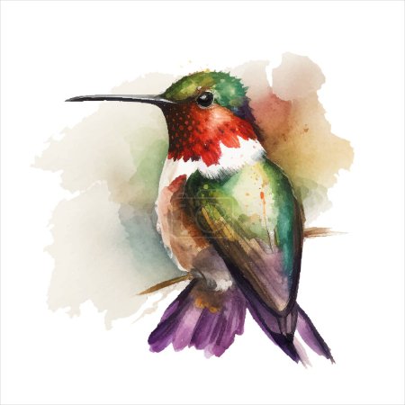 Illustration for Vector watercolor sketch of a hummingbird. Vector illustration for greeting cards, invitations, and other printing and web projects. - Royalty Free Image