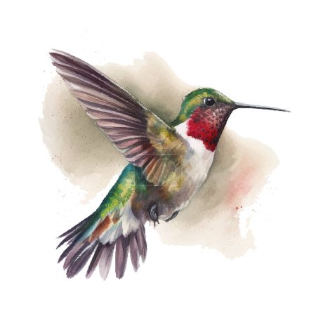 Vector watercolor sketch of a hummingbird. Vector illustration for greeting cards, invitations, and other printing and web projects.