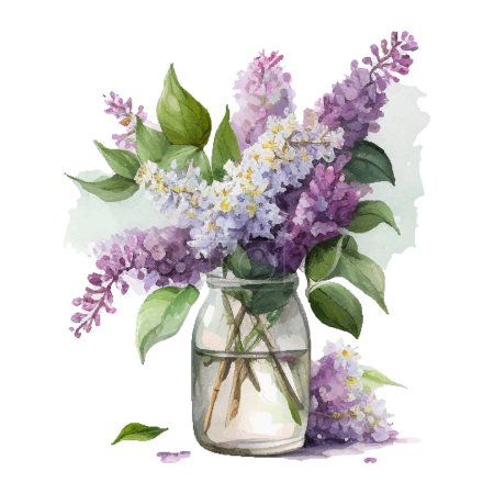 Blooming watercolor vector lilac branch. Pink and violet watercolor flowers isolated on white background.