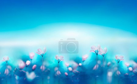 Foto de Delicate white spring forest flowers on a blue background. Spring natural flower background. Border of flowers. - Imagen libre de derechos