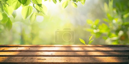 Foto de Primavera verano hermoso fondo natural con follaje verde a la luz del sol y mesa de madera vacía al aire libre. - Imagen libre de derechos