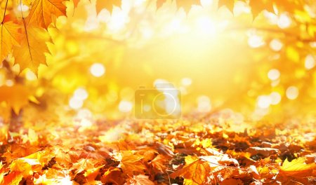 Foto de Colorido fondo de otoño natural universal para el diseño con hojas anaranjadas y fondo borroso. - Imagen libre de derechos