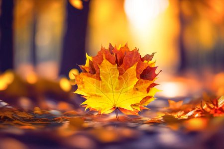 Foto de Ramo de hermosas hojas amarillas y naranjas en un parque de otoño en un día soleado brillante. Fondo colorido natural. - Imagen libre de derechos