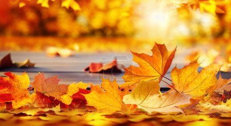 Photo pour Belles feuilles orange sur une table en bois dans le parc d'automne. Fond d'automne naturel avec flou. - image libre de droit