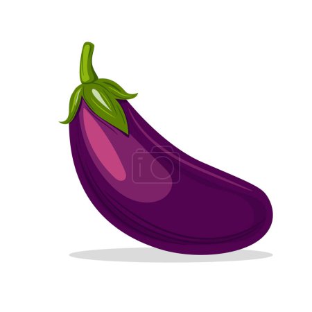 Illustration for Flat vector illustration featuring a luscious purple eggplant with realistic glossy highlights, set against a clean white background. Ideal for culinary and agricultural designs. - Royalty Free Image