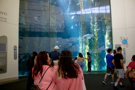 Photo for Long Beach, California, United States - 05-20-2022: A view of a crowd viewing a marine life exhibit, seen at the Long Beach Aquarium. - Royalty Free Image