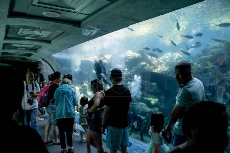 Long Beach, California, United States - 05-20-2022: A view of a crowd walking through an aquarium display.