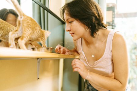 A young woman lovingly watches playful ginger kittens as they frolic and explore on a window ledge.