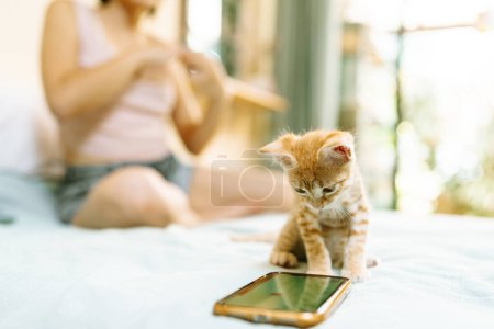 A curious orange kitten examines a smartphone on a bed, with its owner in the background engaging with a yarn craft.