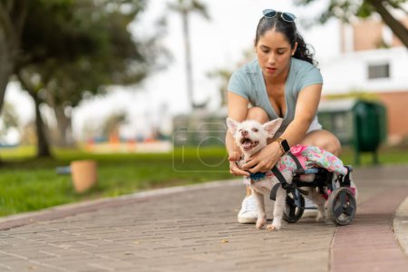 Attentive woman fine-tuning her happy dog's wheelchair harness for a comfortable fit during their park visit.