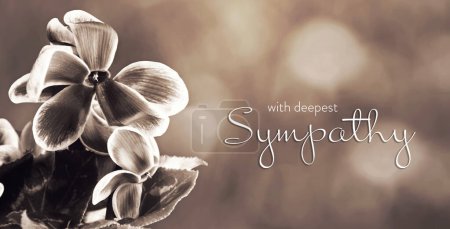 Foto de Sympathy card with cyclamen flowers - Imagen libre de derechos