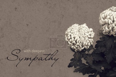 Sympathy or Condolence card with white Chrysanthemums on grunge background