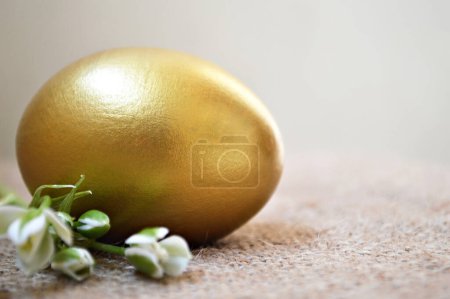 Foto de Huevo de Pascua de oro y flor de primavera blanca, plantilla de tarjeta de felicitación - Imagen libre de derechos