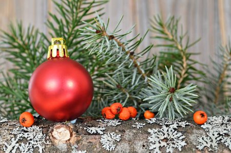 Foto de Decoración de Navidad. Bola roja brillante, bayas de naranja y ramitas de pino en el tronco del árbol - Imagen libre de derechos