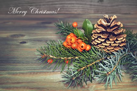 Téléchargez les photos : Christmas decorations on wooden background, pine twigs with cone and rowan berries, Merry christmas text - en image libre de droit