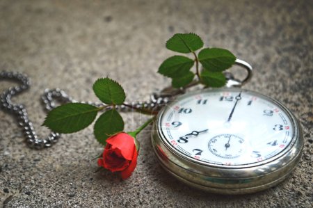 Foto de Reloj de bolsillo rojo rosa y vintage sobre fondo gris - Imagen libre de derechos
