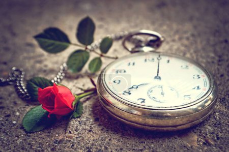 Photo for Fathers Day gift. Vintage pocket watch and red rose - Royalty Free Image