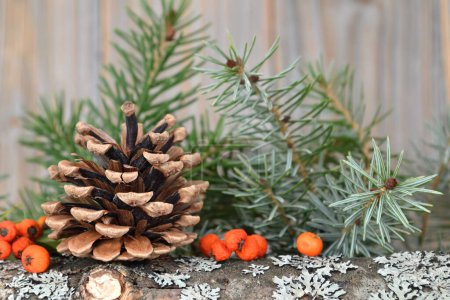 Téléchargez les photos : Arrangement de Noël, baies orange, cône de pin et branches de pin - en image libre de droit