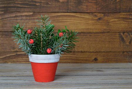 Photo for Christmas arrangement, red berries and pine branches in clay pot on white grunge background - Royalty Free Image