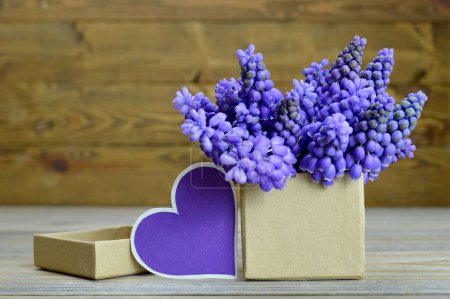 Téléchargez les photos : Fleurs de Muscari disposées dans une boîte cadeau et une étiquette vierge en forme de coeur - en image libre de droit