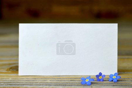 Téléchargez les photos : Carte de vœux vierge et fleurs de printemps bleues - en image libre de droit