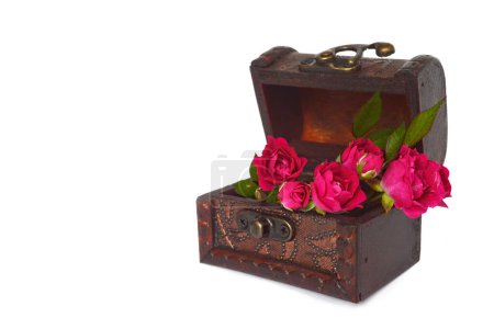 Photo for Roses arranged in treasure chest isolated on white background - Royalty Free Image