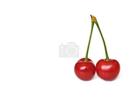 Téléchargez les photos : Cerises rouges isolées sur fond blanc - en image libre de droit