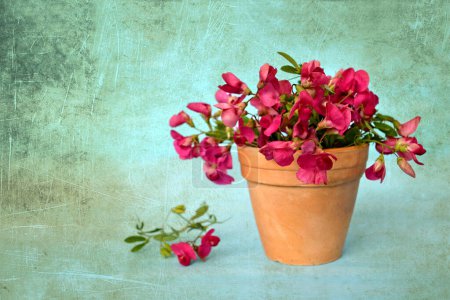 Téléchargez les photos : Carte de la fête des mères : fleurs roses en pot sur fond grunge - en image libre de droit